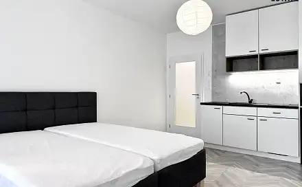 Pronájem bytu 1+kk 38 m²