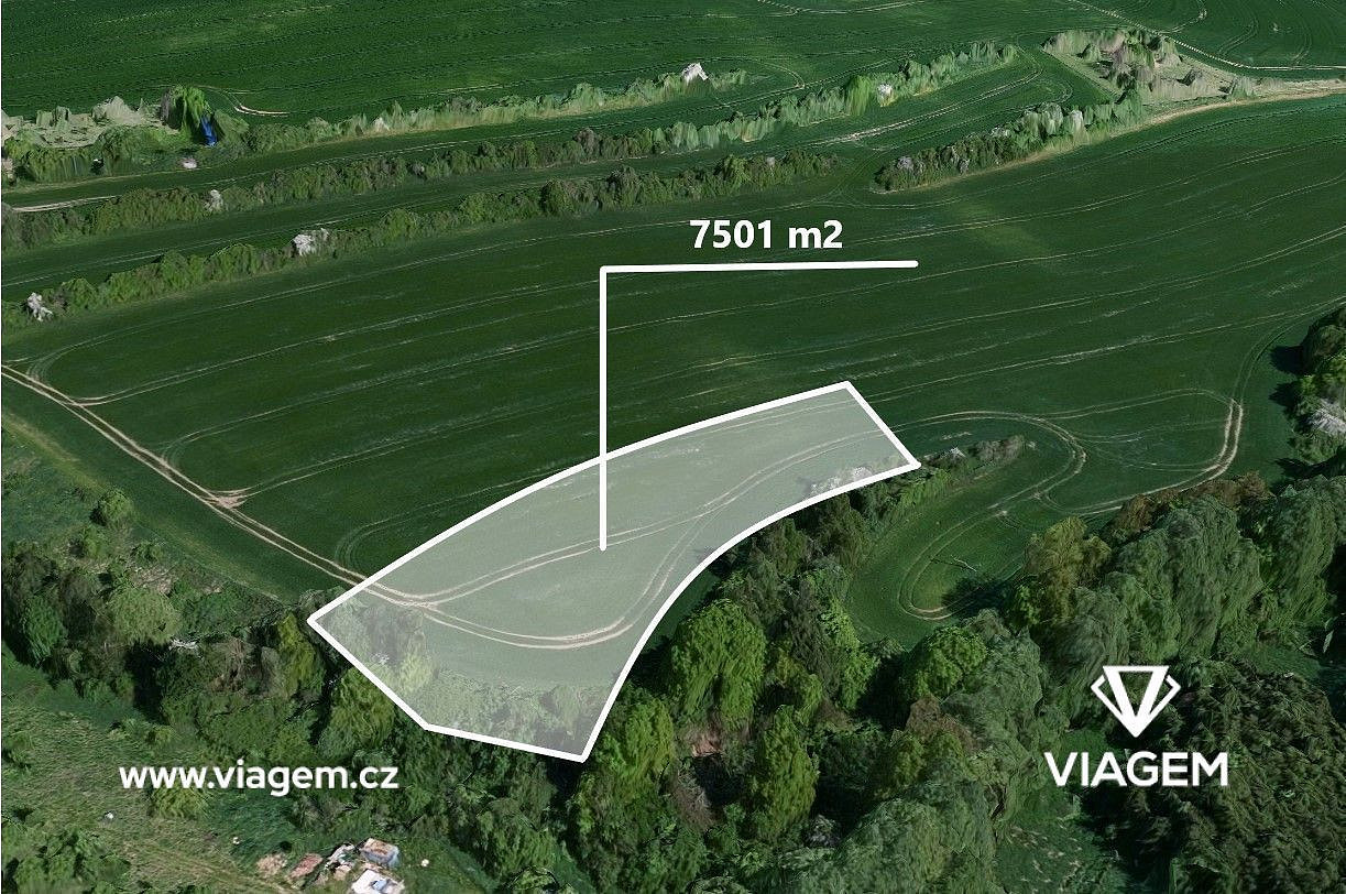 Prodej pole 1 875 m² – fotografie 4
