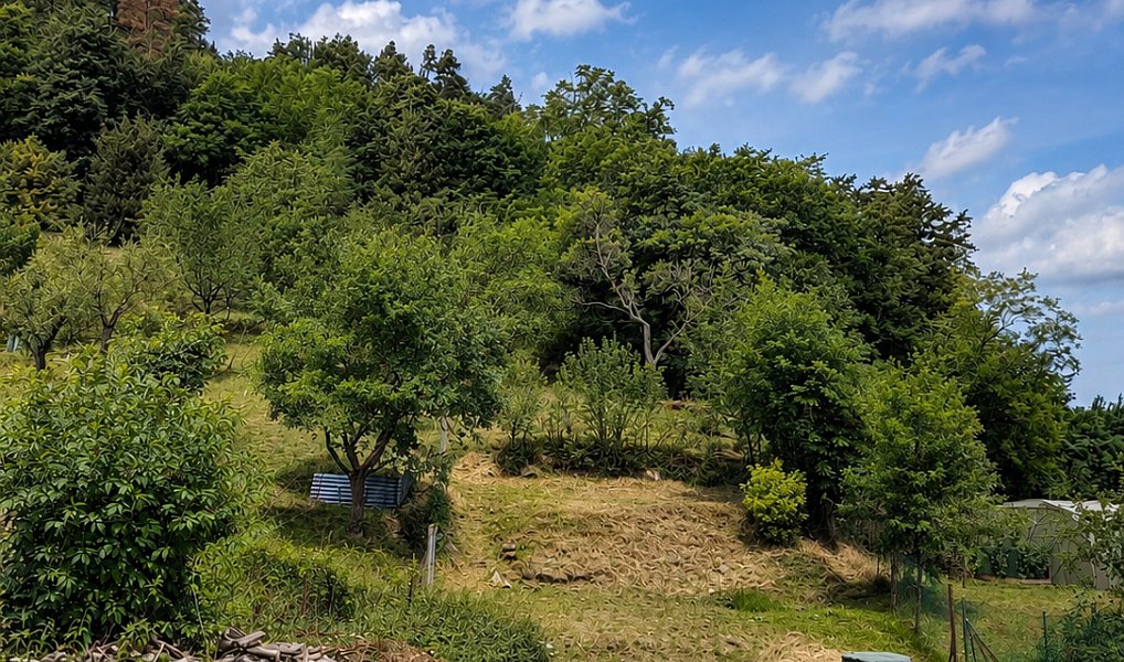 Prodej chalupy 153 m² s pozemkem 843 m², Račice-Pístovice – náhled fotky 6