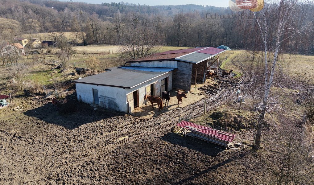 Prodej domu 129 m² s pozemkem 17 842 m², Albrechtice – náhled fotky 5