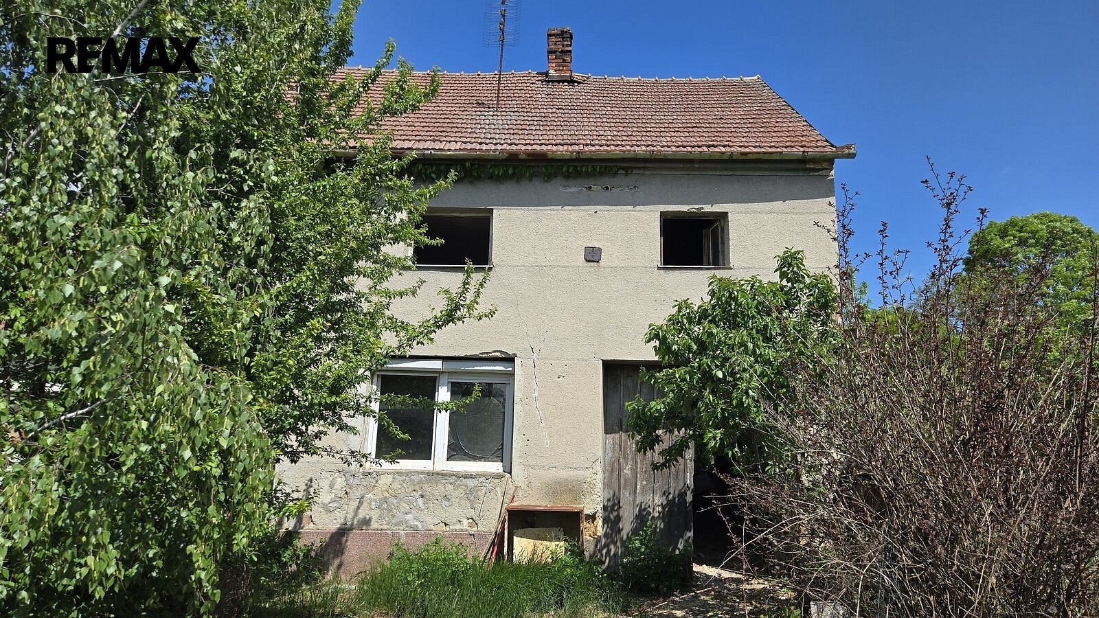 Fotka 7 z 19