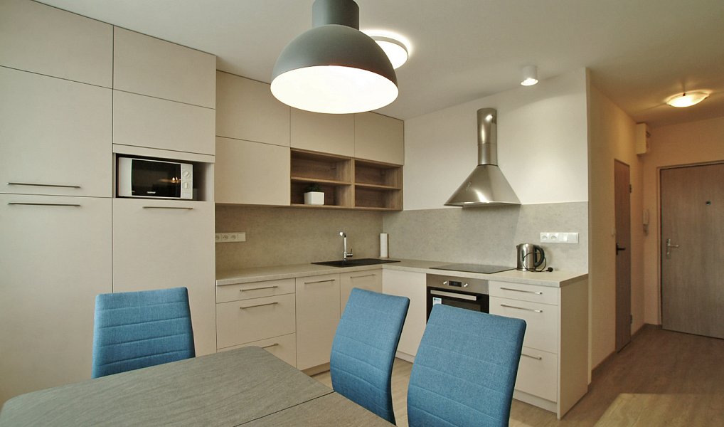 Pronájem bytu 1+1 42 m², Liberec – náhled fotky 9