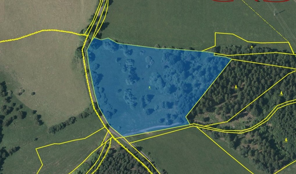 Prodej louky 24 249 m², Nová Ves – náhled fotky 2