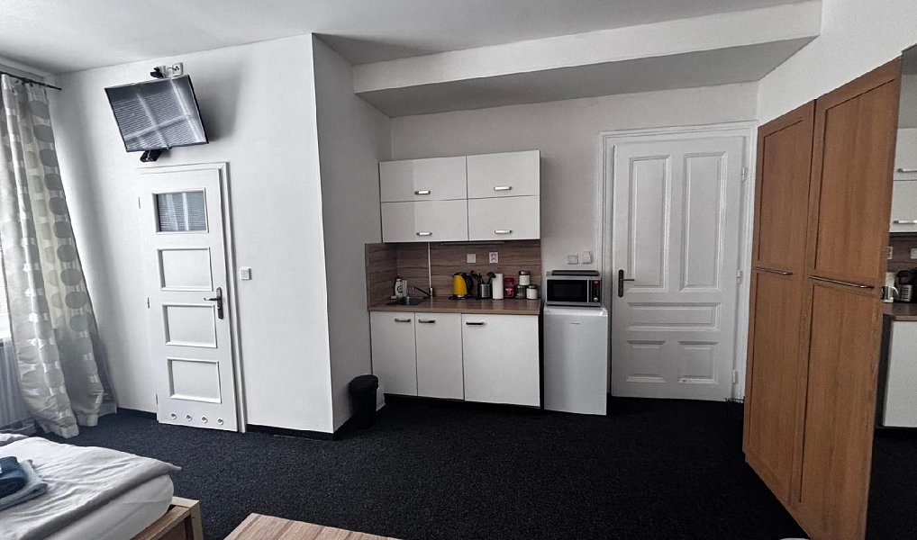 Pronájem bytu 1+kk 25 m², Ostrava – náhled fotky 8