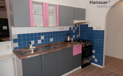 Pronájem bytu 1+1 35 m², Bezručova, Ústí nad Labem - Klíše