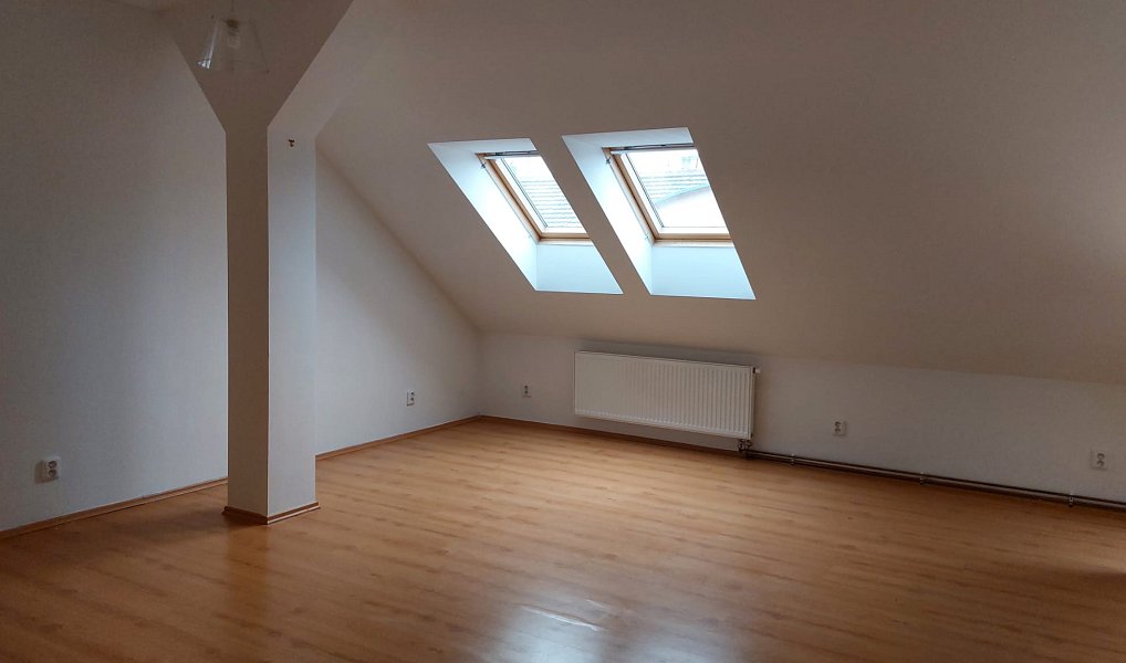 Pronájem bytu 2+kk 74 m², Plzeň – náhled fotky 3