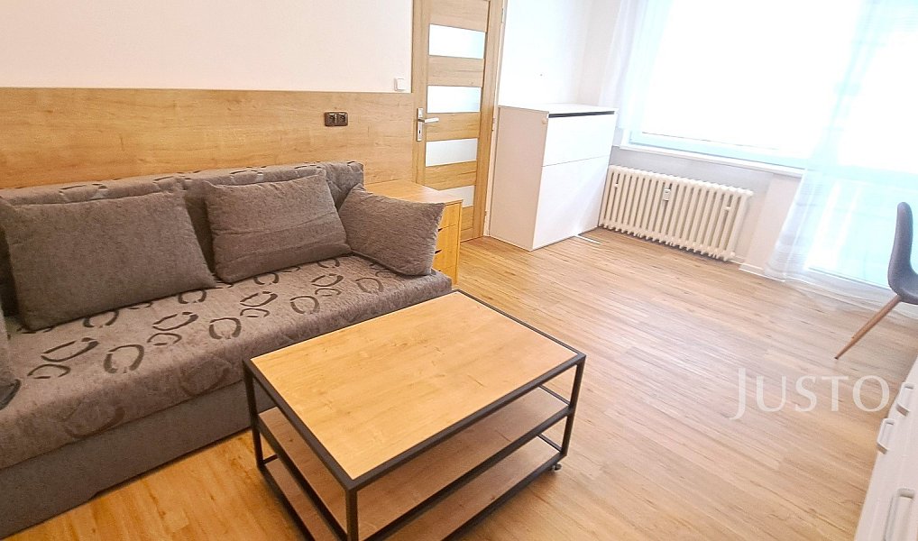 Pronájem bytu 1+1 41 m², Písek – náhled fotky 9