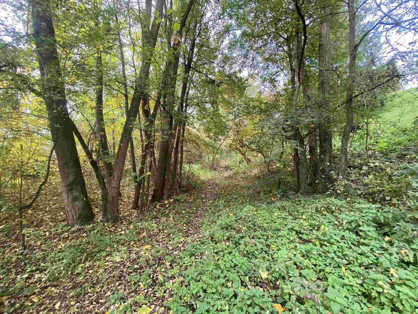 Prodej pozemku 1 003 m²