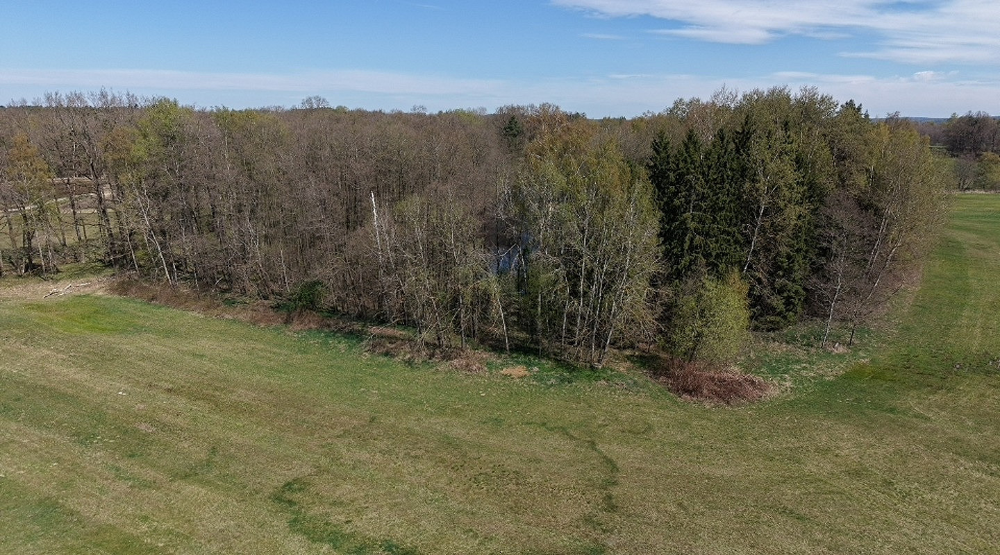 Prodej lesa 360 000 m² — photo 5