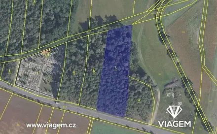 Prodej lesa 884 m², Sokoleč, okres Nymburk
