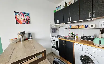 Pronájem bytu 1+kk 24 m², Vavřenova, Praha 4 - Braník