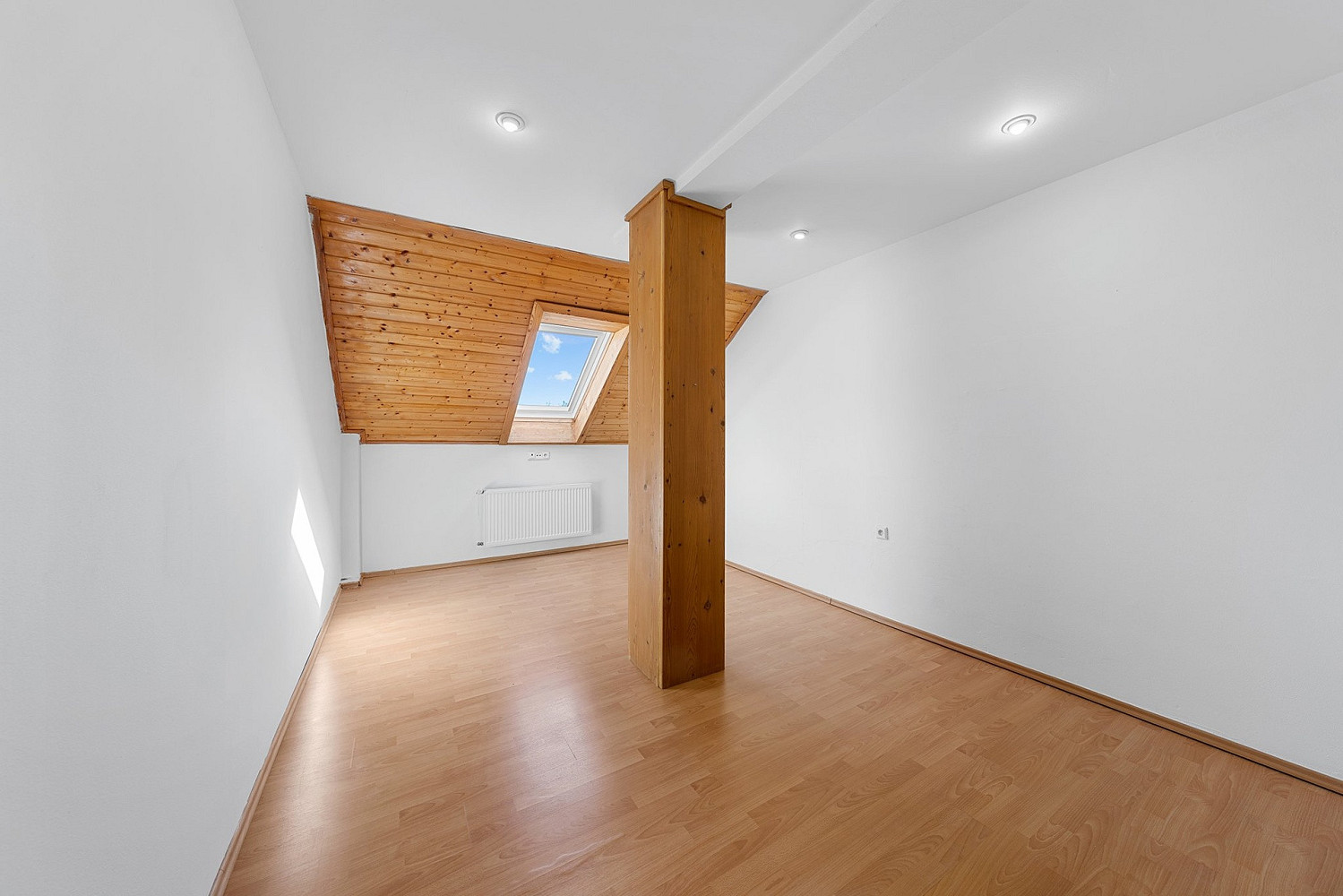 Fotka 21 z 30