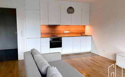Pronájem bytu 1+kk 48 m², Krásova, Praha 3 - Žižkov