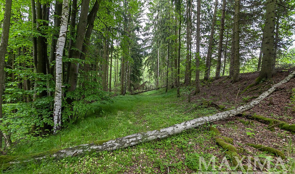 Prodej pole 14 573 m², Višňová – náhled fotky 7