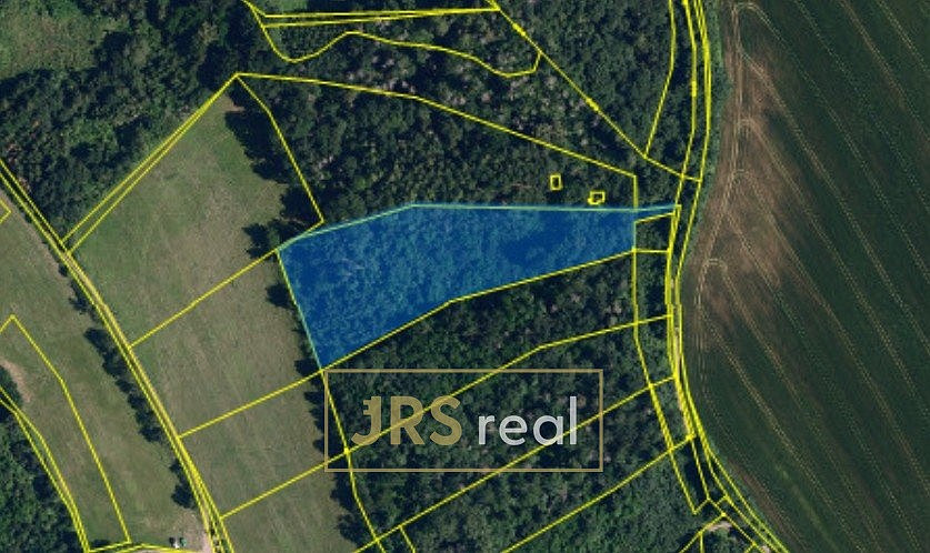 Prodej lesa 7 323 m²