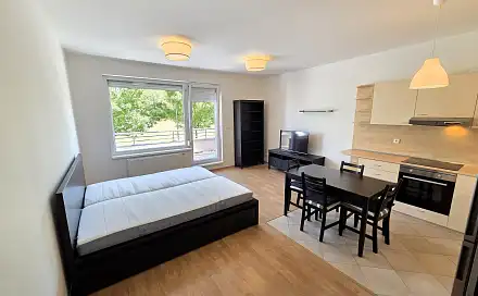 Pronájem bytu 1+kk 35 m²
