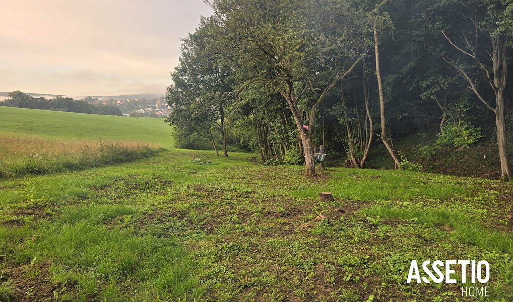 Prodej louky 739 m², Doubravy – náhled fotky 5