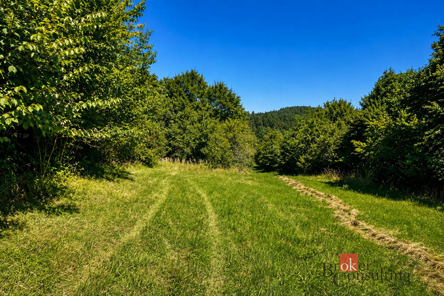 Prodej louky 3 075 m² – fotografie 3