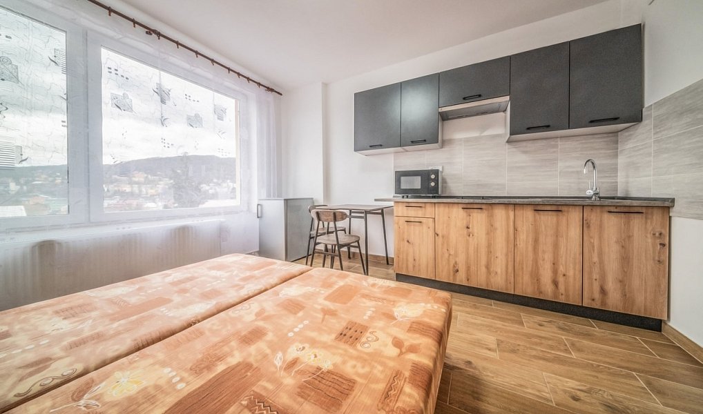 Pronájem bytu 1+kk 25 m², Ústí nad Labem – náhled fotky 3