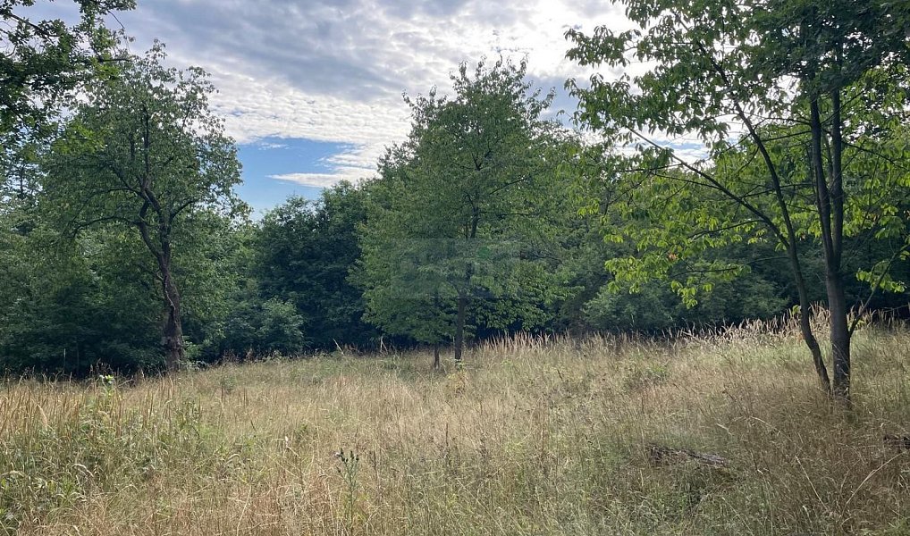 Prodej pole 26 115 m², Pozdeň – náhled fotky 8