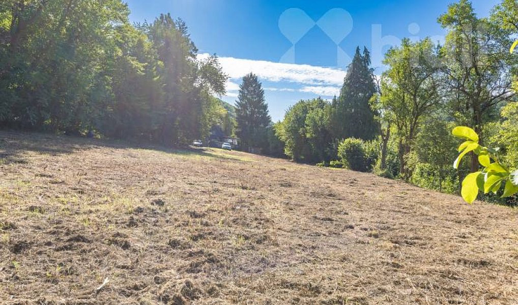 Prodej stavebního pozemku 8 271 m², Hradištko – náhled fotky 6