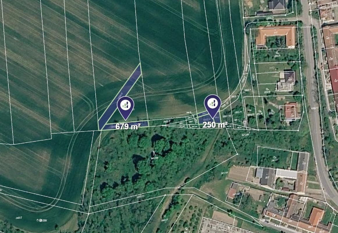 Prodej lesa 1 918 m² – fotografie 2