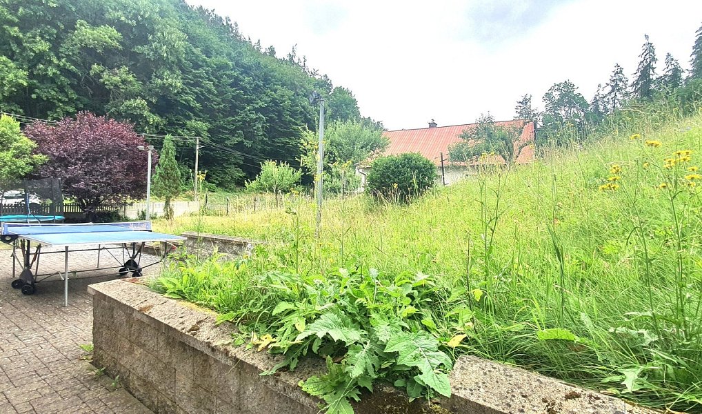 Prodej domu 350 m² s pozemkem 2 658 m², Šumvald – náhled fotky 11
