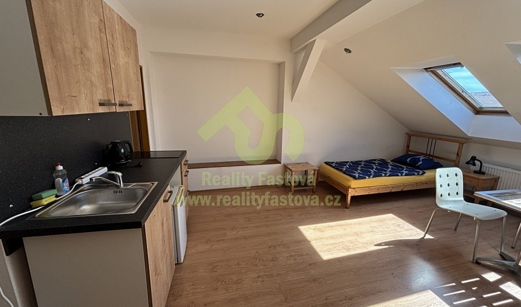 Prodej domu 776 m² s pozemkem 192 m², Plzeň – náhled fotky 20