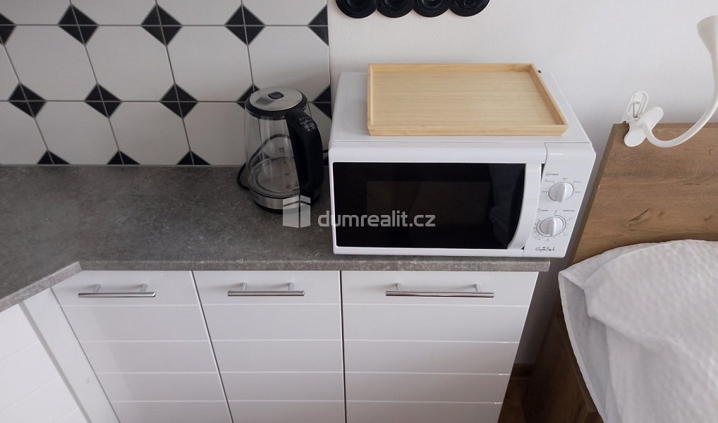 Pronájem bytu 1+kk 20 m², Karlovy Vary – náhled fotky 15