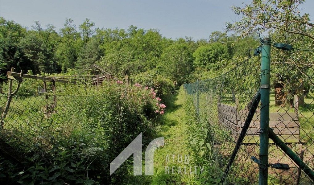 Prodej zahrady 412 m², Dyje – náhled fotky 8