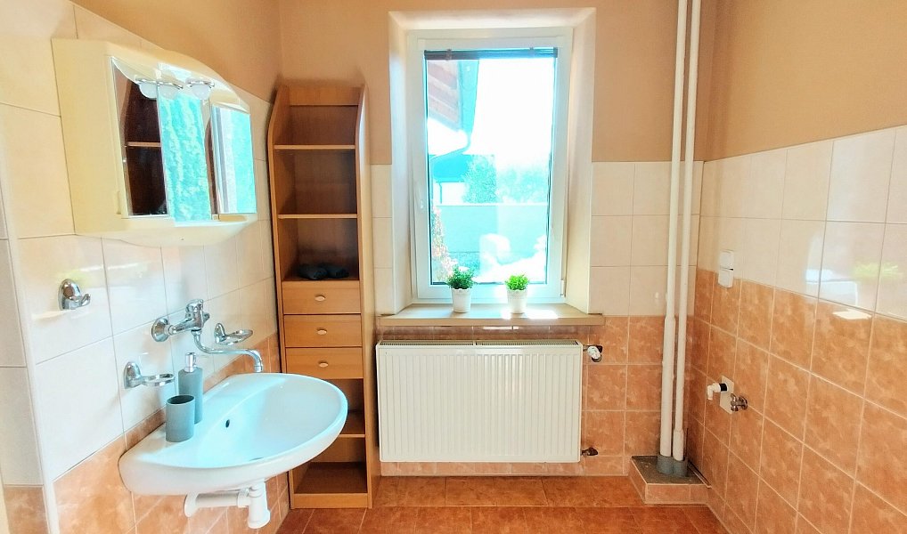 Pronájem domu 160 m², Velká Polom – náhled fotky 27