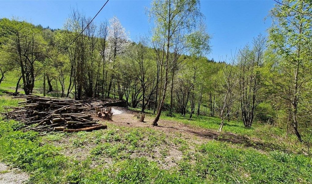 Prodej stavebního pozemku 1 417 m², Radčice – náhled fotky 13