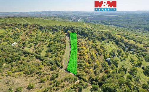 Prodej zahrady 3 718 m², Židlochovice, okres Brno-venkov