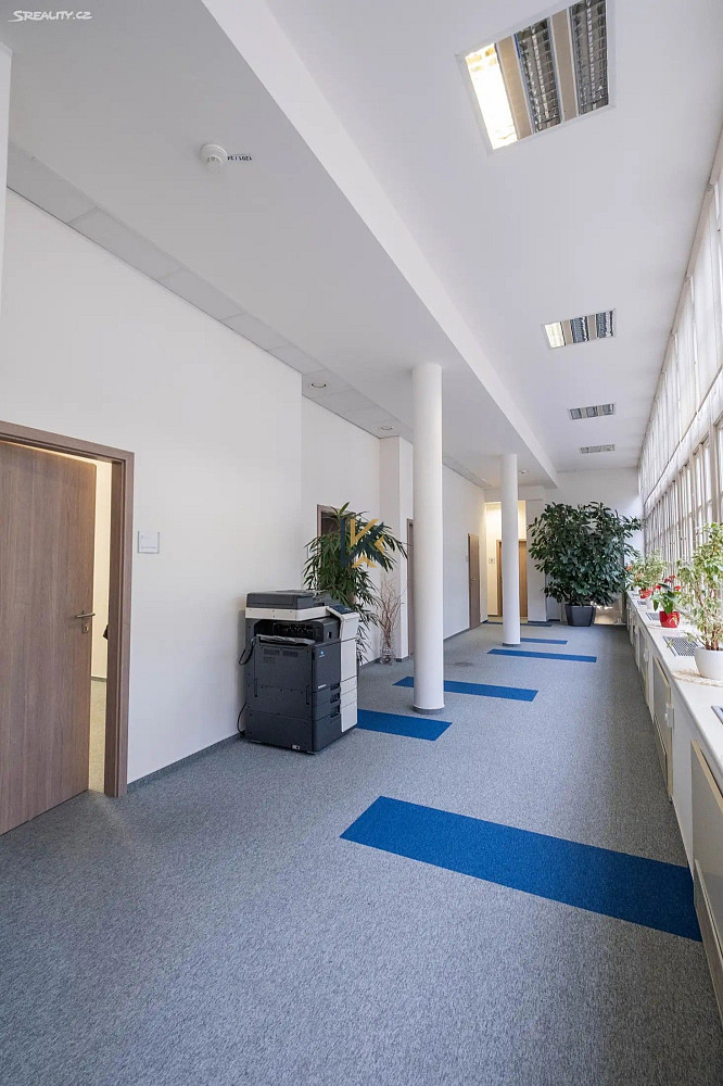 Pronájem kanceláře 300 m² — photo 5