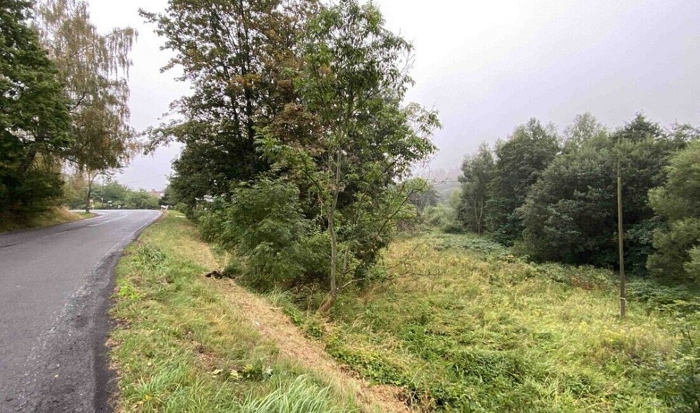 Prodej pozemku 1 758 m², Andělská Hora – náhled fotky 2