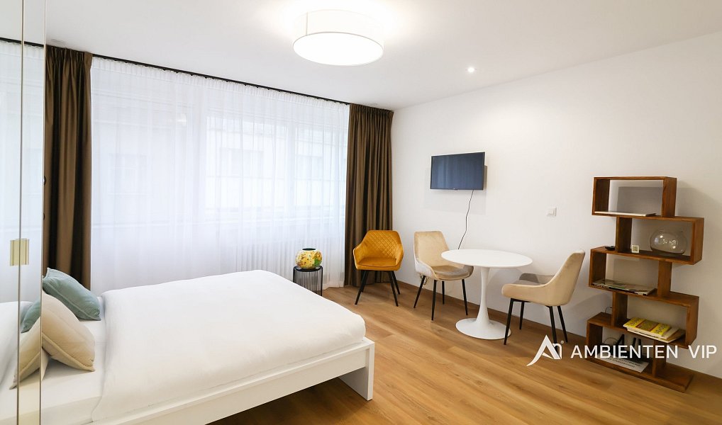 Pronájem bytu 1+kk 28 m², Brno – náhled fotky 4