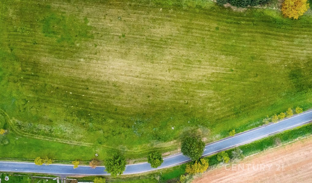 Prodej stavebního pozemku 5 247 m², Církvice – náhled fotky 5