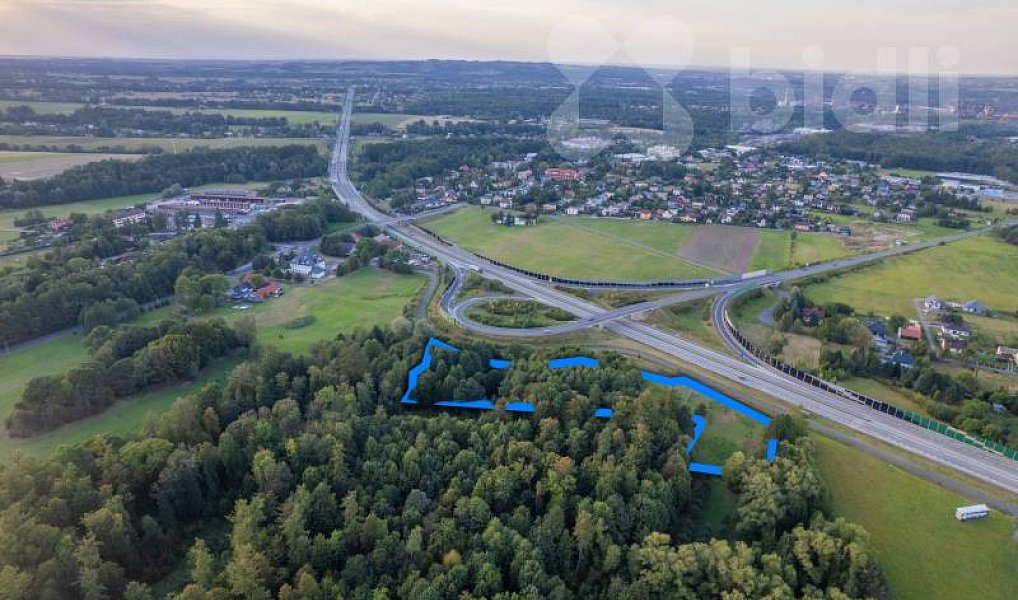 Prodej louky 14 217 m², Třinec – náhled fotky 5