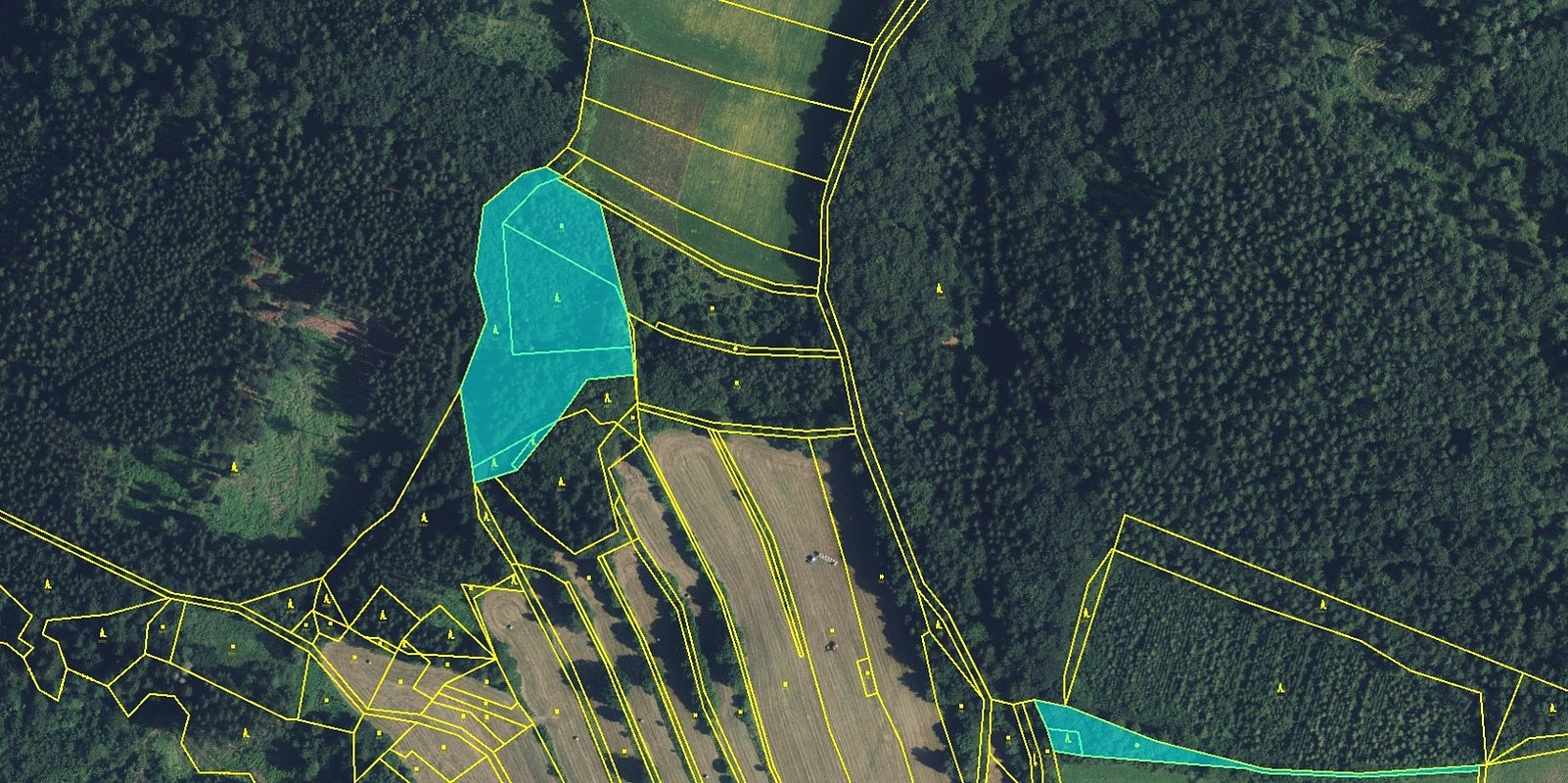 Prodej lesa 11 901 m²