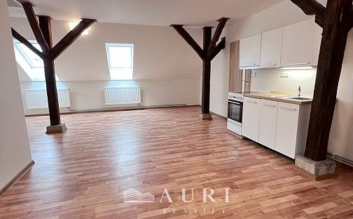 Pronájem bytu 1+kk 58 m², Havlíčkova, Rakovník - Rakovník II
