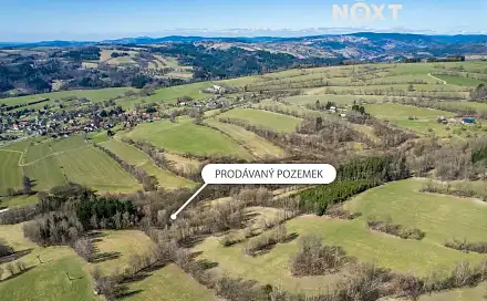 Poniklá