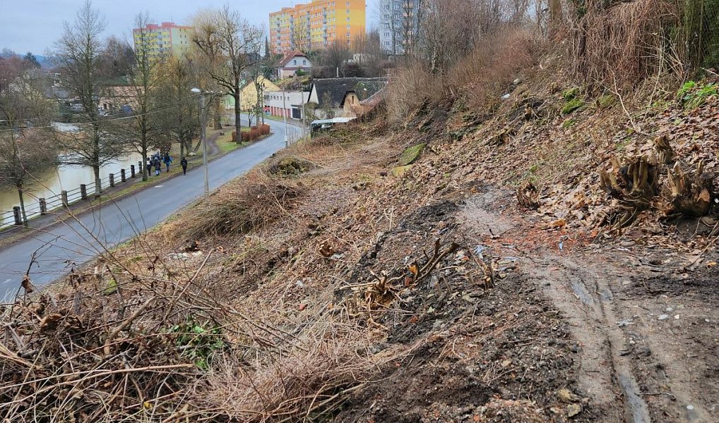 Prodej stavebního pozemku 1 155 m², Česká Třebová – náhled fotky 5