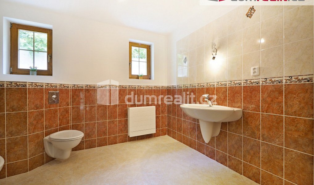 Prodej domu 286 m² s pozemkem 3 176 m², Želízy – náhled fotky 18