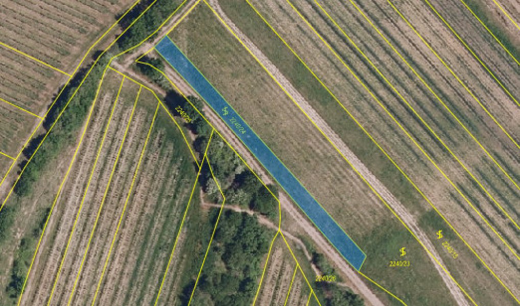 Prodej pole 2 899 m², Brumovice – náhled fotky 3