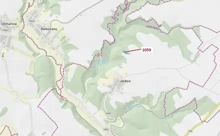Dražba lesa 3 646 m², Naloučany