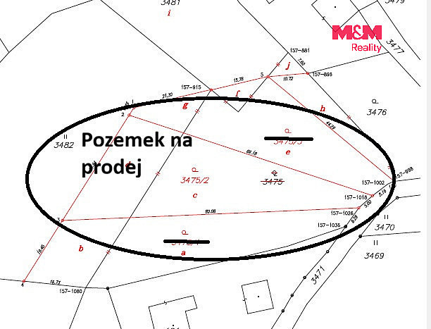 Fotka 5 z 12