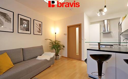 Pronájem bytu 2+kk 50 m², Spálená, Brno - Trnitá