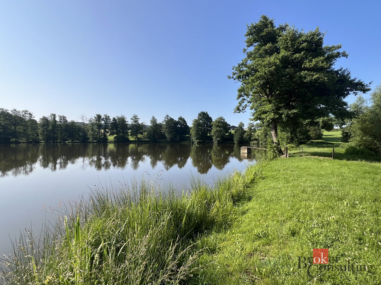 Prodej vodní plochy 19 964 m² – fotografie 5