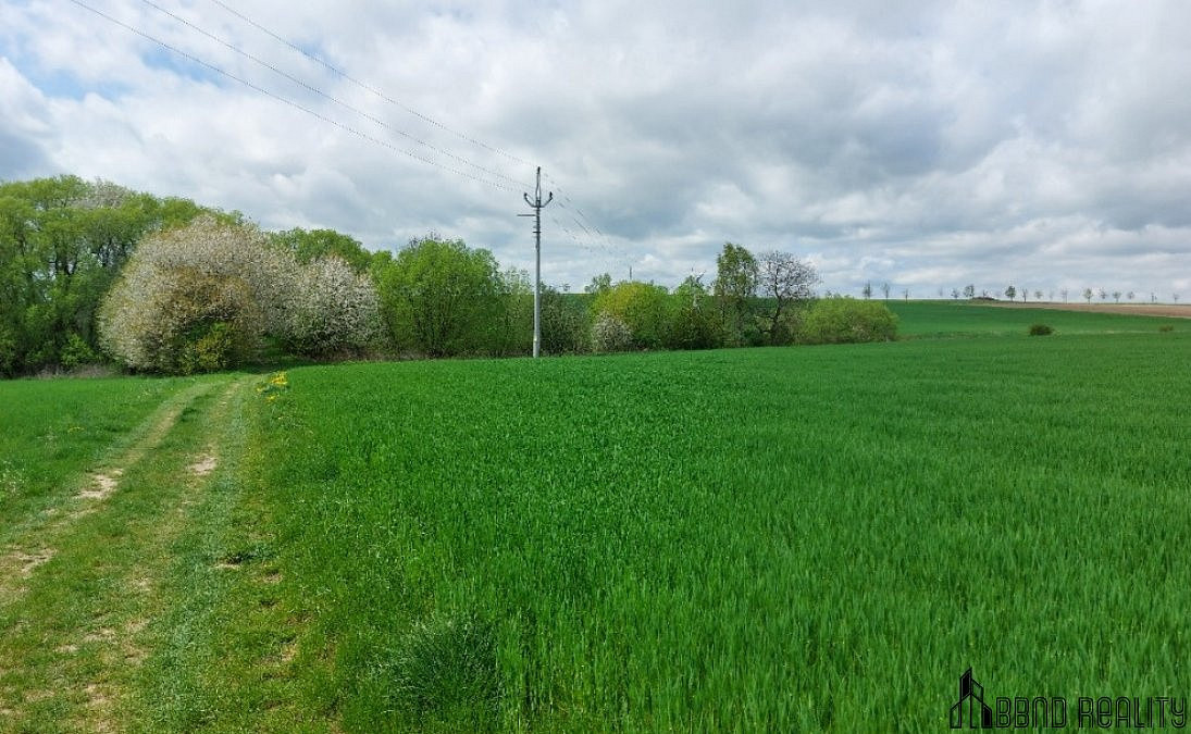 Prodej pozemku 12 045 m² – fotografie 5