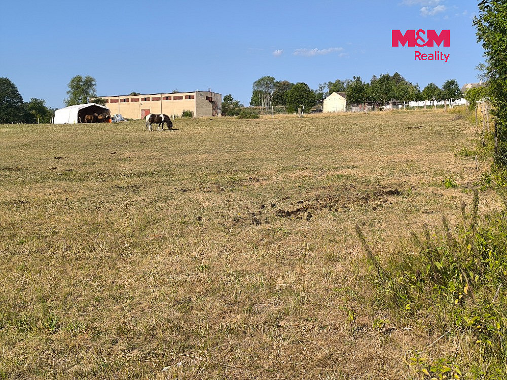 Prodej louky 2 004 m² – fotografie 5